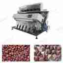 انبار پایدار، بوجاری سورتینگ حبوبات در اصفهان